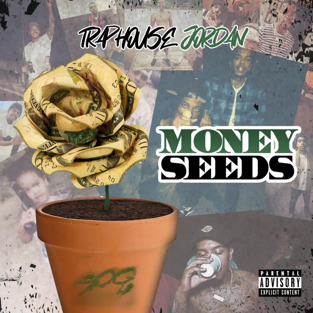 Money Seeds