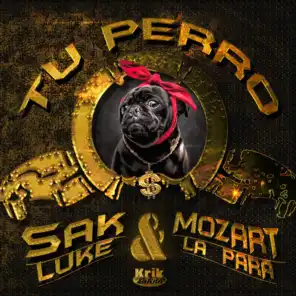 Sak Luke & Mozart La Para