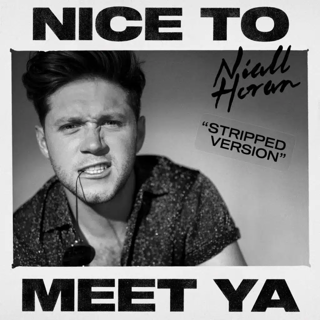 Nice To Meet Ya (Stripped)