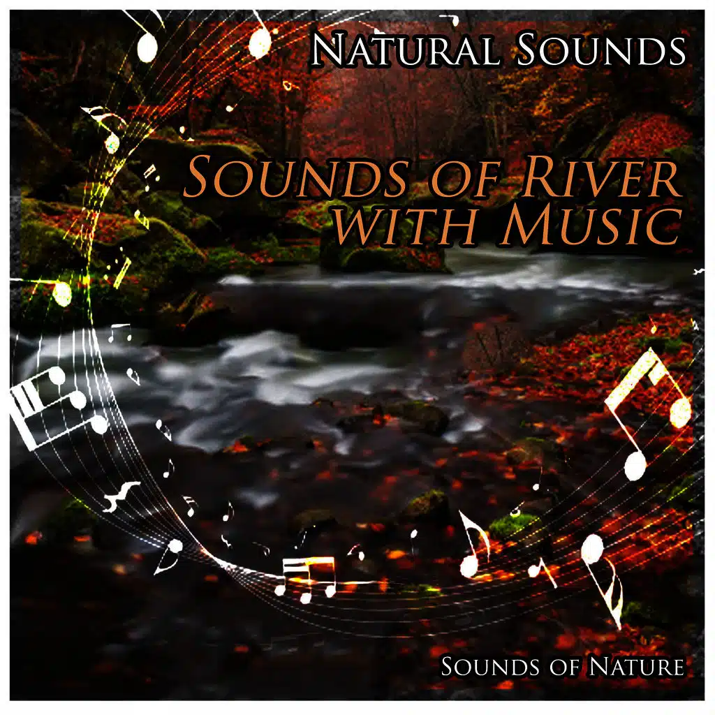 Llewellyn & Sounds of Nature