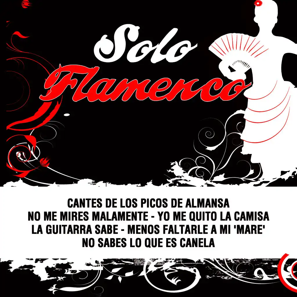 Fandangos a la Guitarra