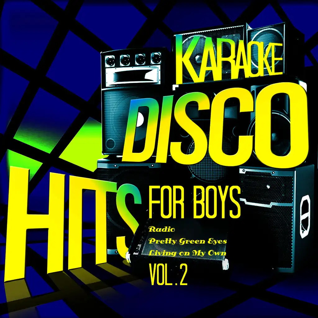 Karaoke - Disco Hits for Boys, Vol. 2