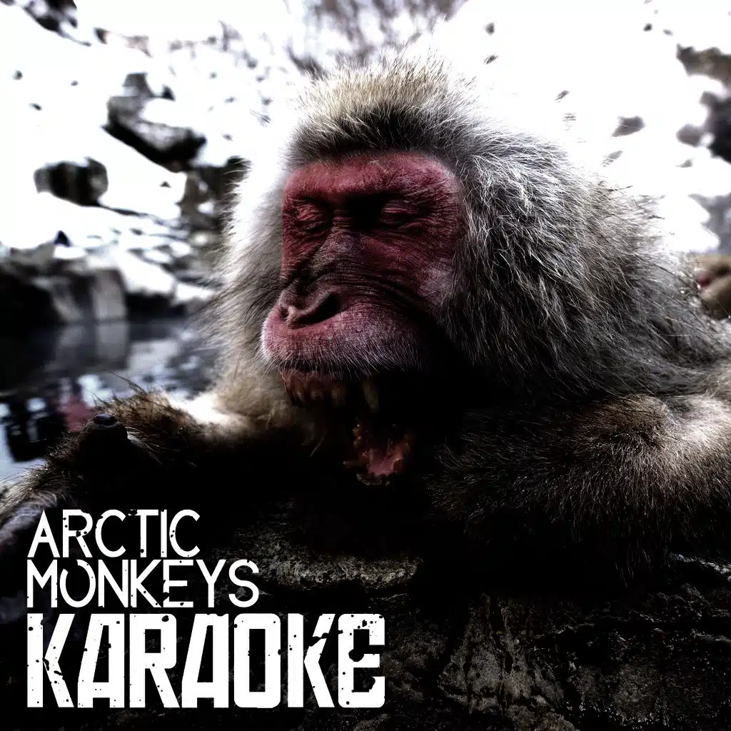 Karaoke - Arctic Monkeys