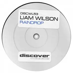 Raindrop (Original Mix)