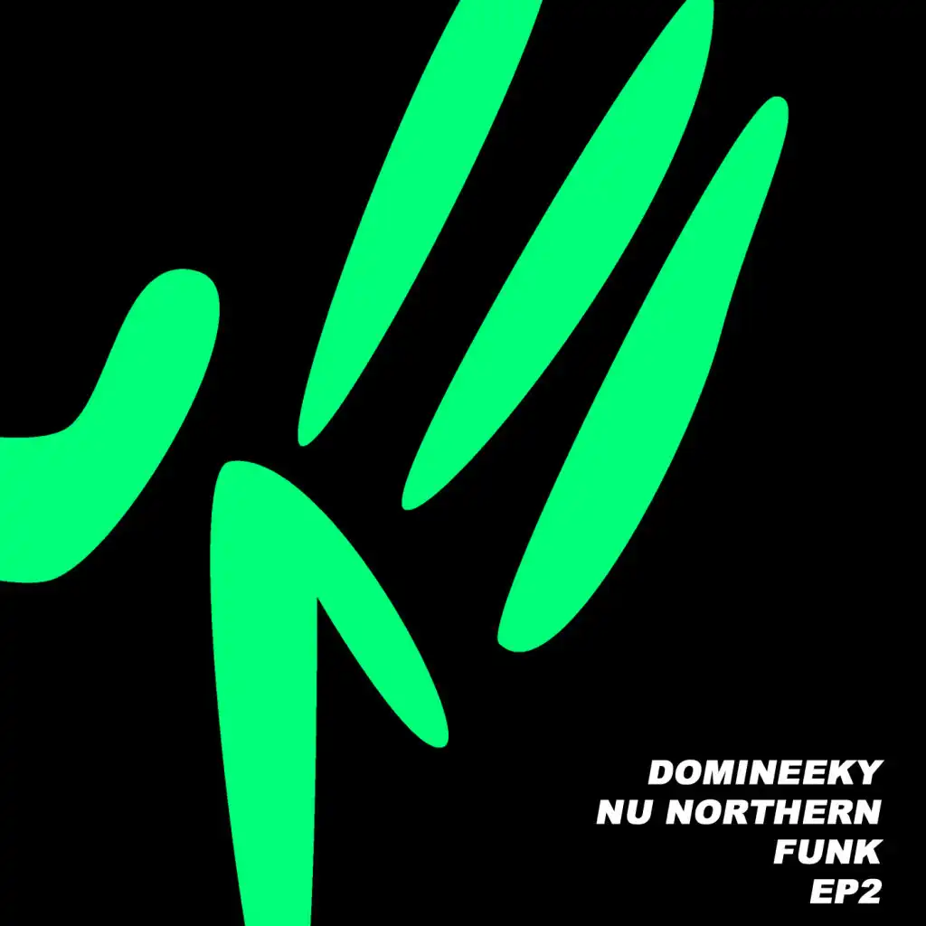 Nu Northern Funk EP2