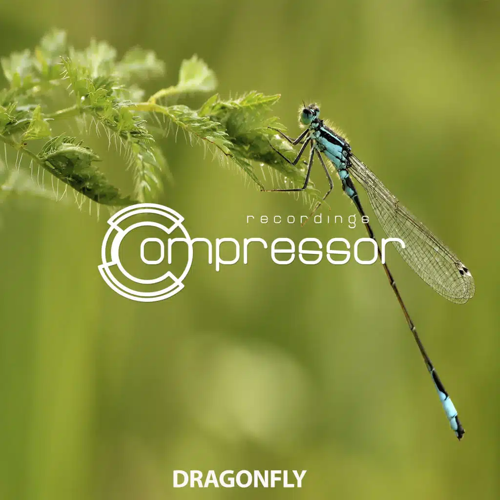 Dragonfly