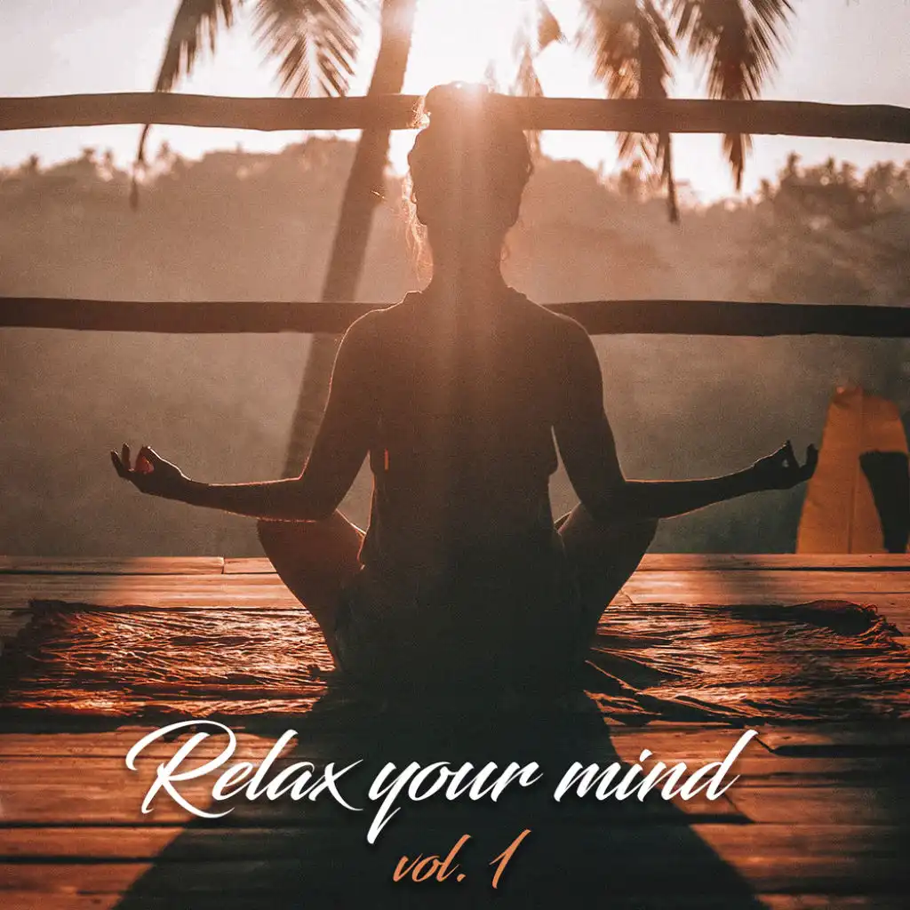 Relax Your Mind Vol.1