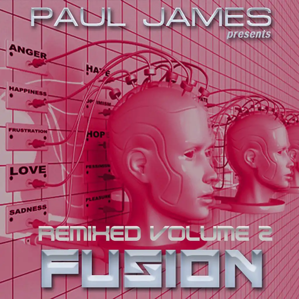 Frequency (Paul James Bassbumper Mix) [feat. Donna Hidalgo]