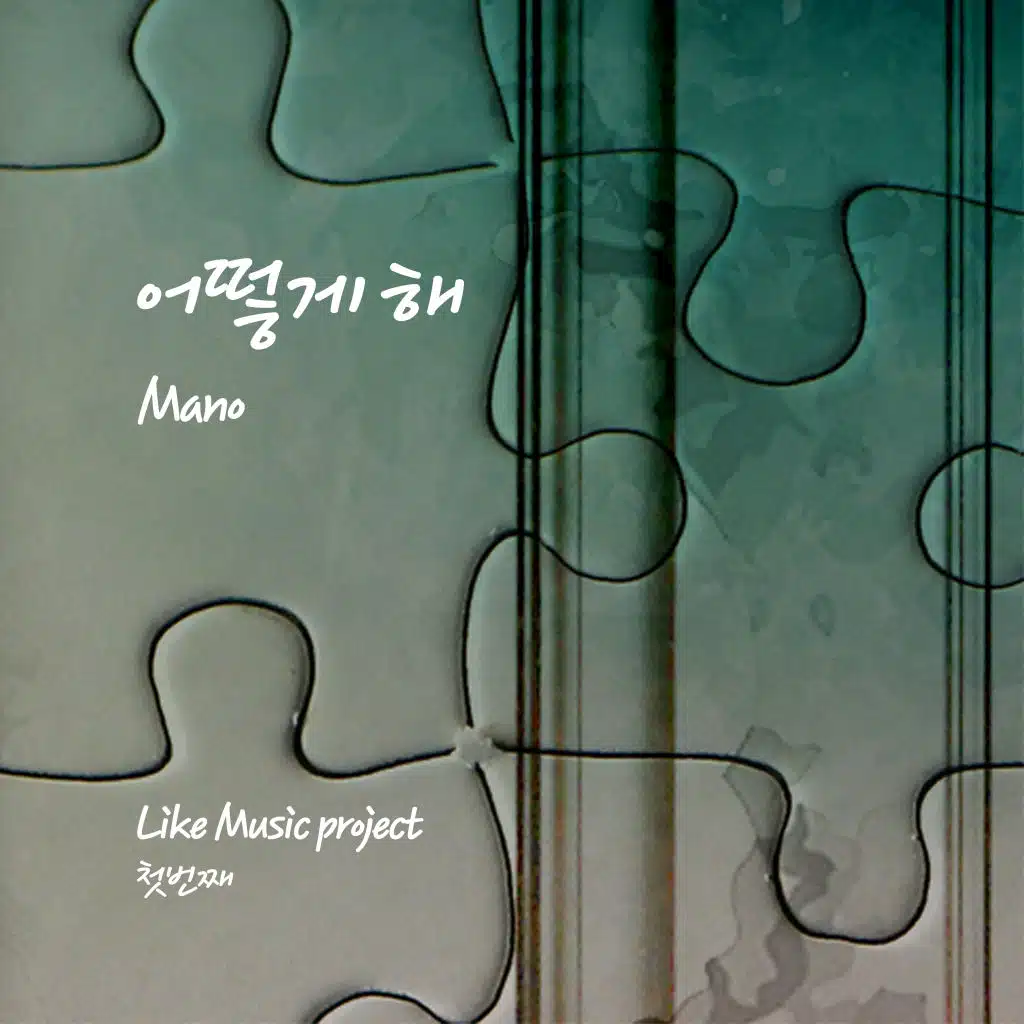 Like Music Project