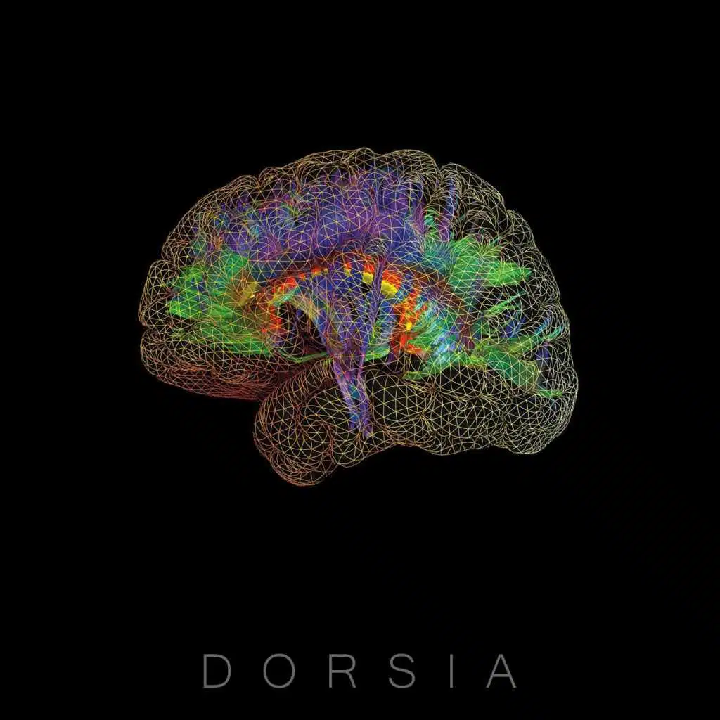 Dorsia