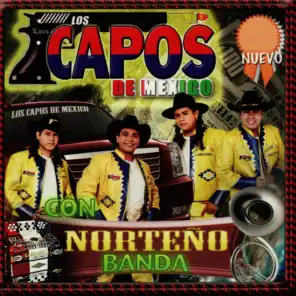 Los Capos De Mexico Con Norteño Banda