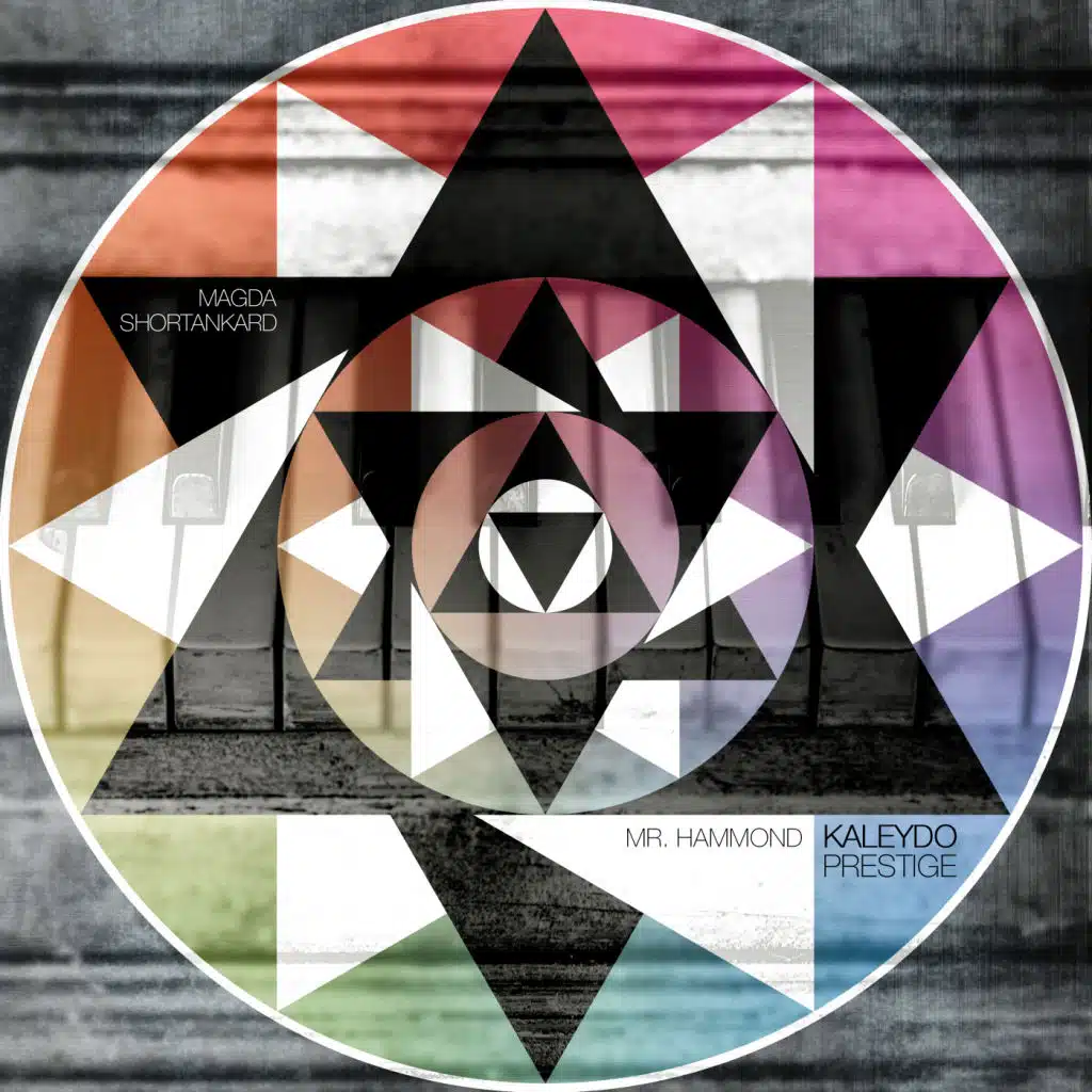 Mr. Hammond (Radio Disco Mix)