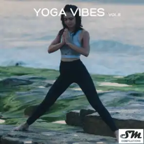 Yoga Vibes, Vol. 8