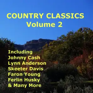 Country Classics - Vol 2