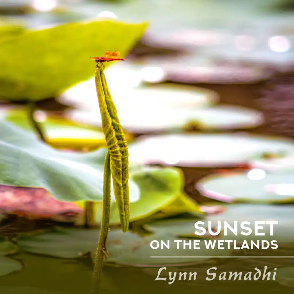 Sunset on the Wetlands