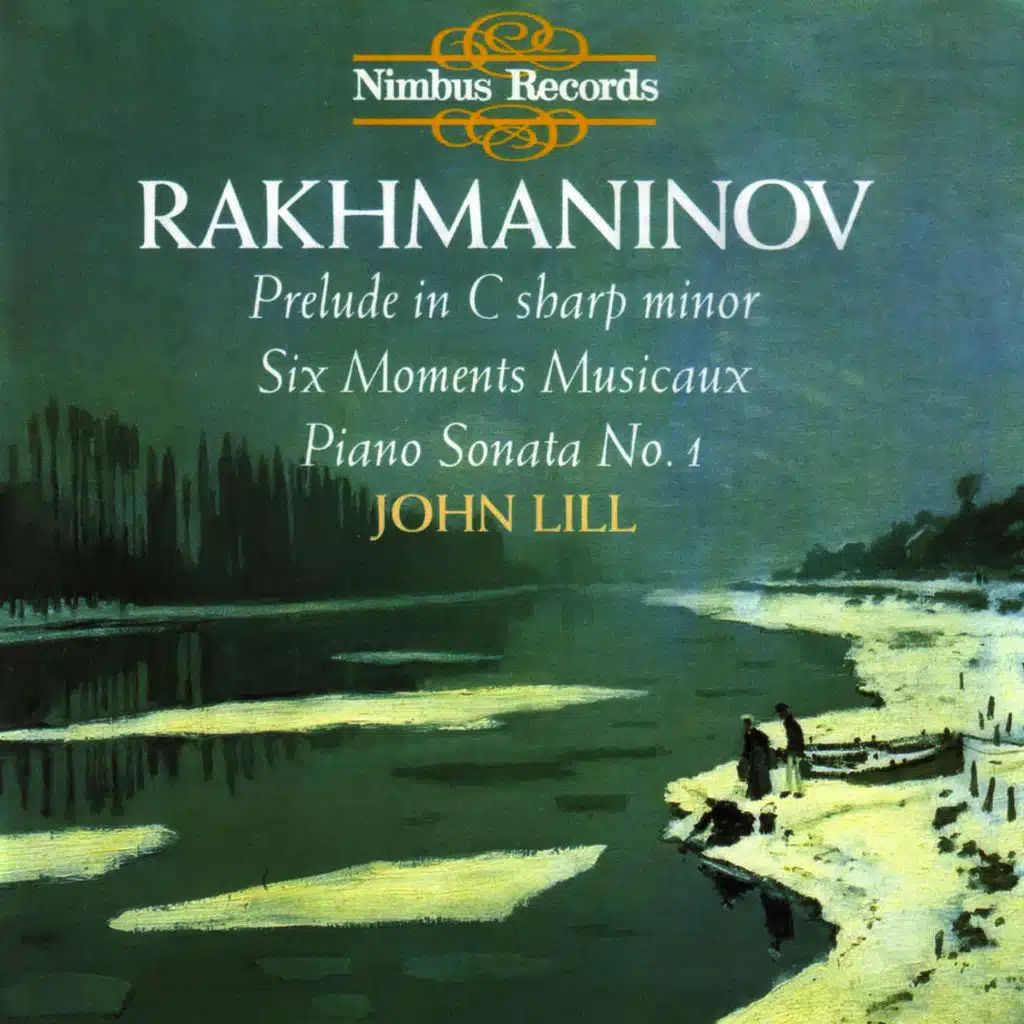 Piano Sonata No. 1 In D Minor, Op. 28: Allegro molto