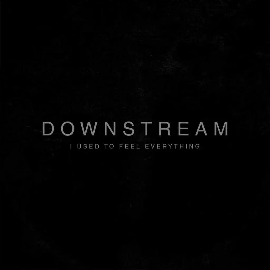 I Used to Feel Everything