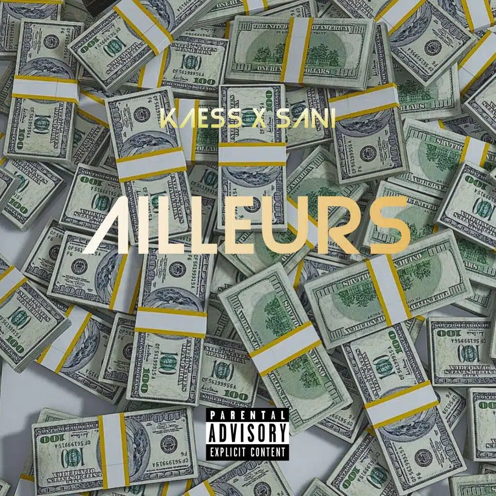 Ailleurs (feat. Sani)