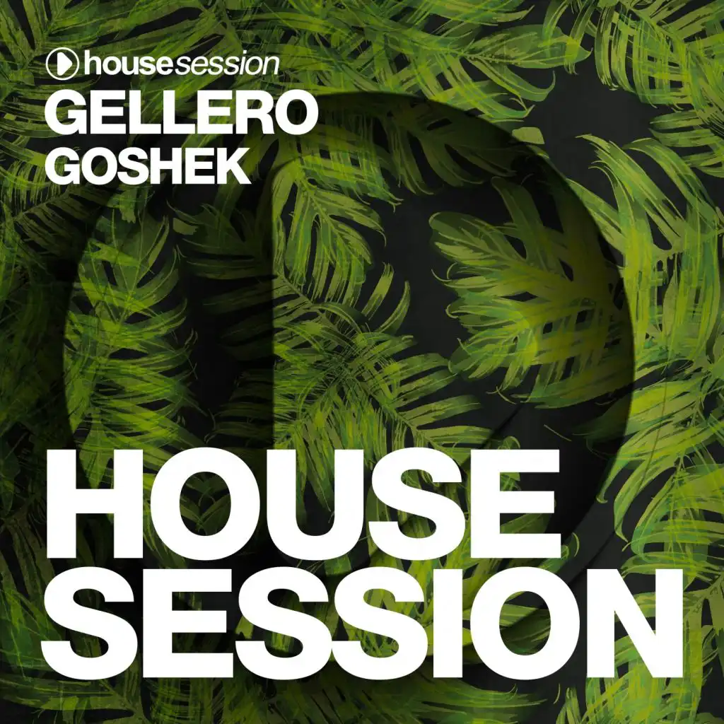 Goshek (Radio Edit)