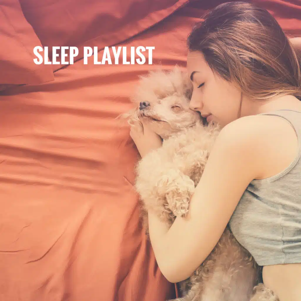 Sleep Playlist