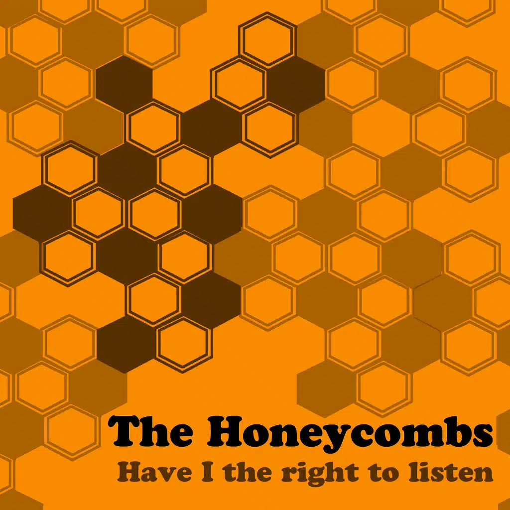 Have I The Right (Rerecorded)