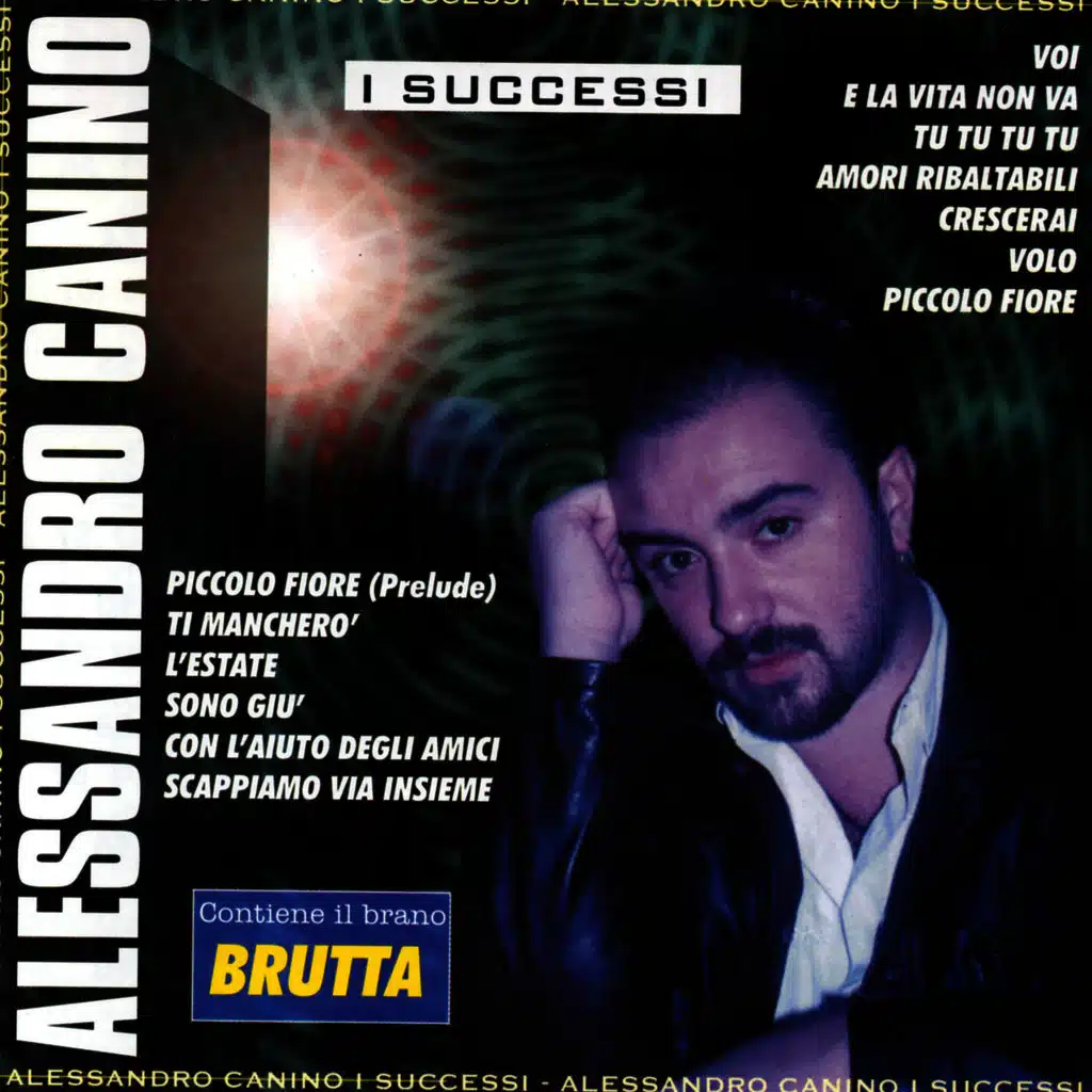 I Successi
