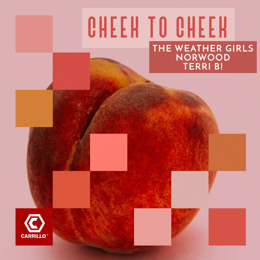 Cheek to Cheek (James Chris Club Mix)
