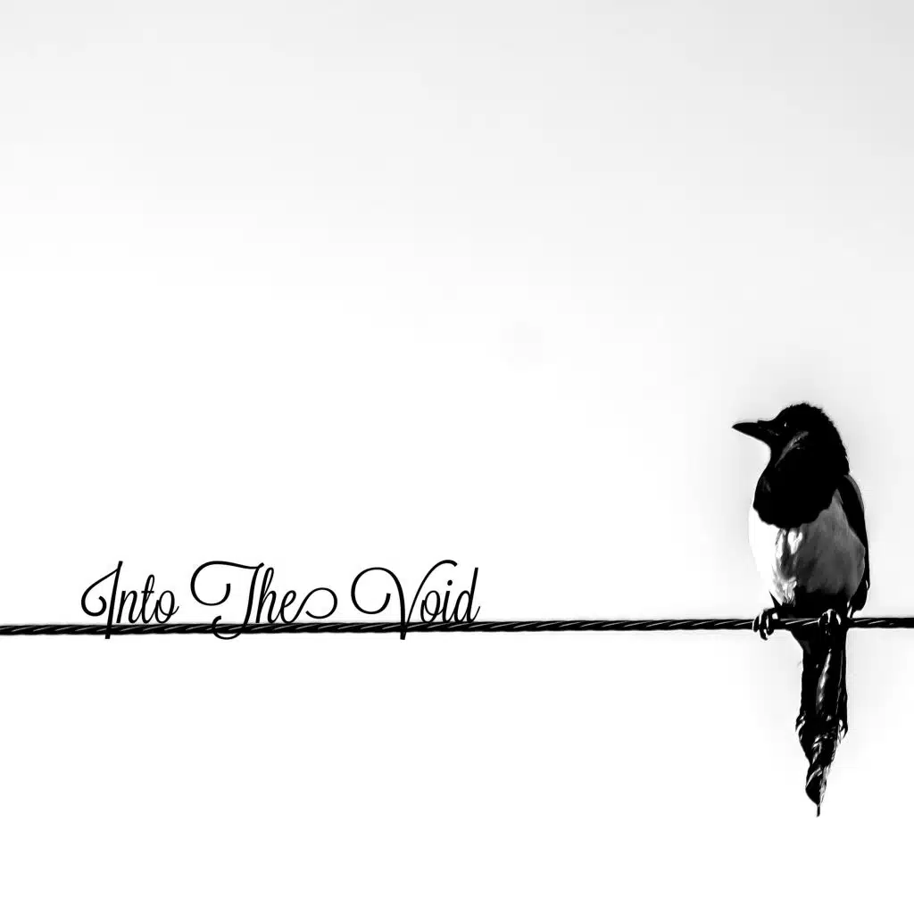 Into the Void