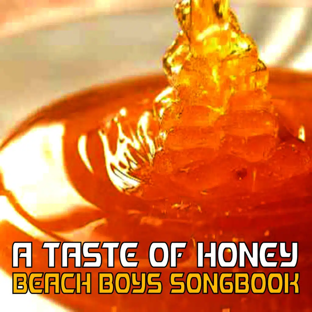 Sing the Beach Boys Songbook