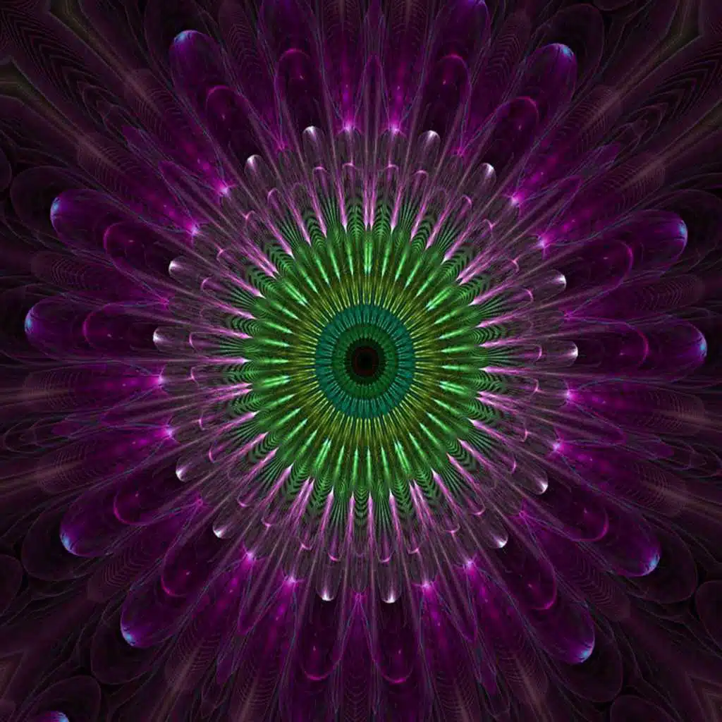 The Light Side of Life