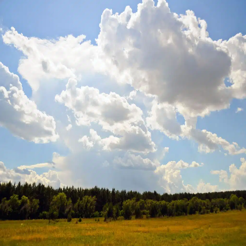 When I Need to Sleep to Forget About My Woes