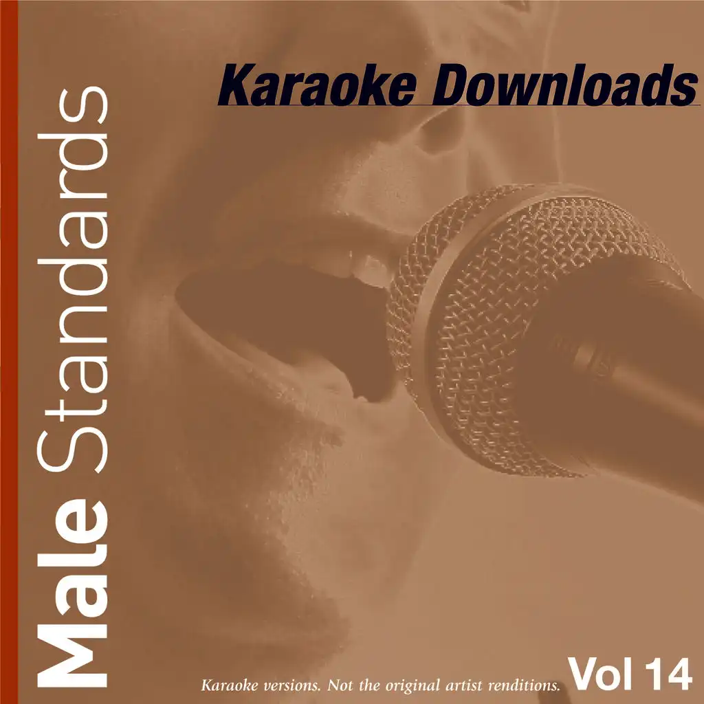 Karaoke Downloads - Male Standards Vol.14