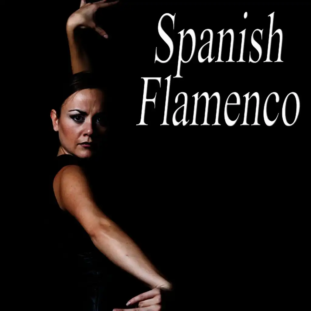 Flamenco 2