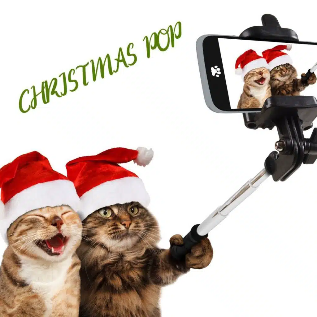 Peter Noone & Natalie Noone