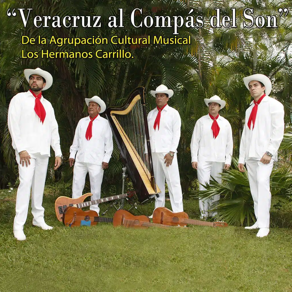 Veracruz al Compás del Son (De la Agrupación Cultural Musical Los Hermanos Carrillo)