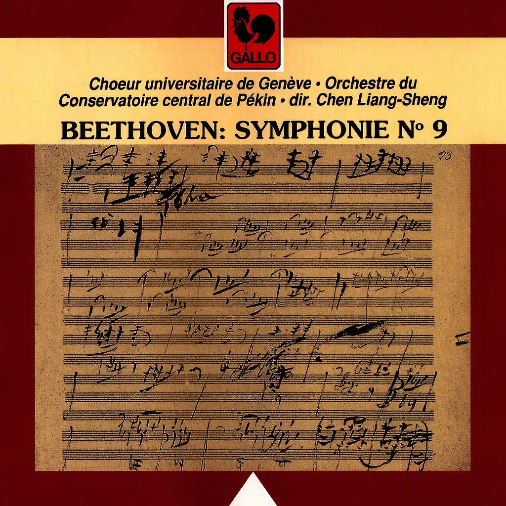 Symphony No. 9 in D Minor, Op. 125: I. Allegro ma non troppo, un poco maestoso