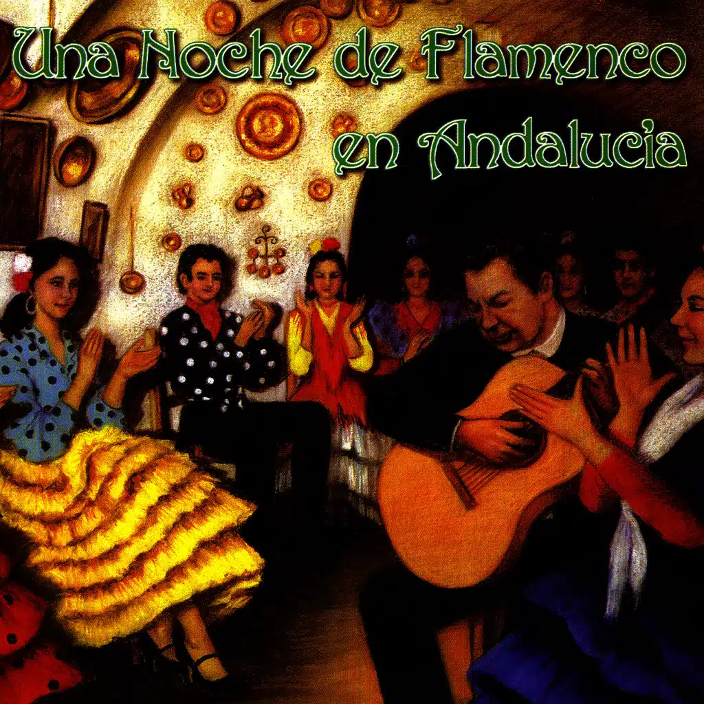 Una Noche de Flamenco en Andalucia
