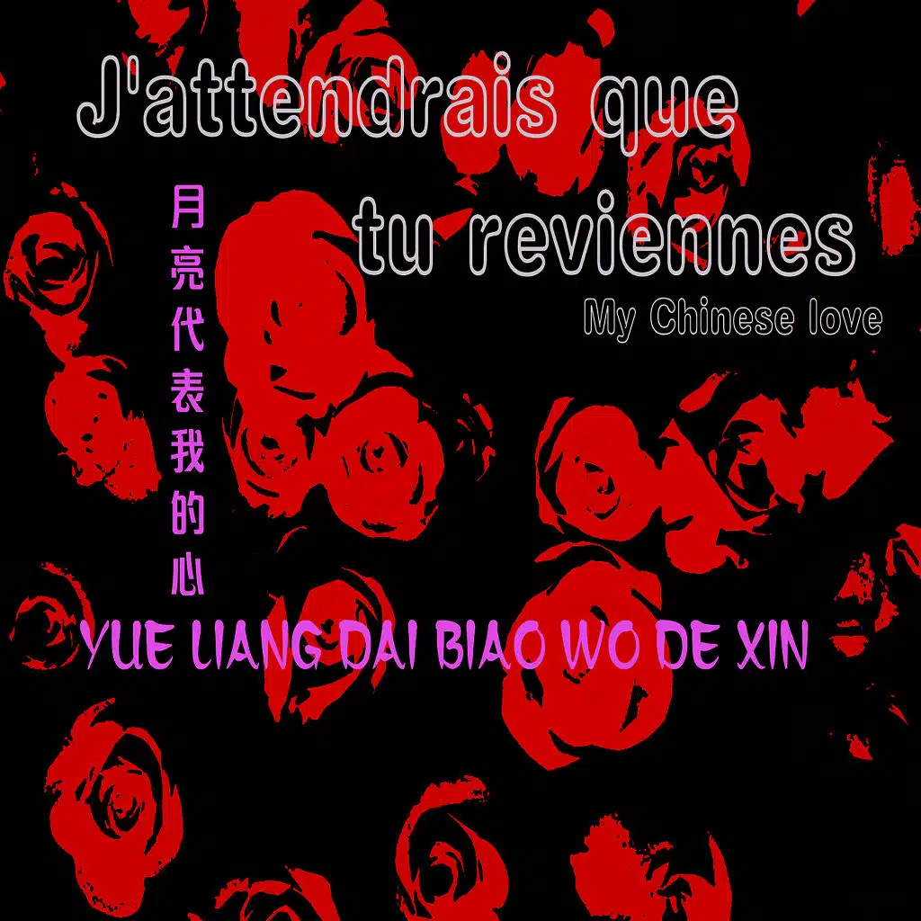 Yue Liang Dai Biao Wo De Xin  月亮代表我的心