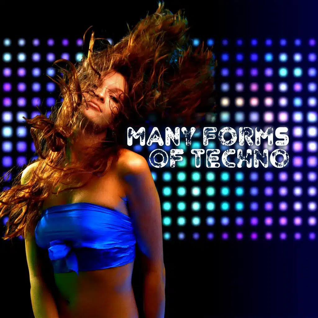 Many Forms of Techno:L a Journey Through Tech