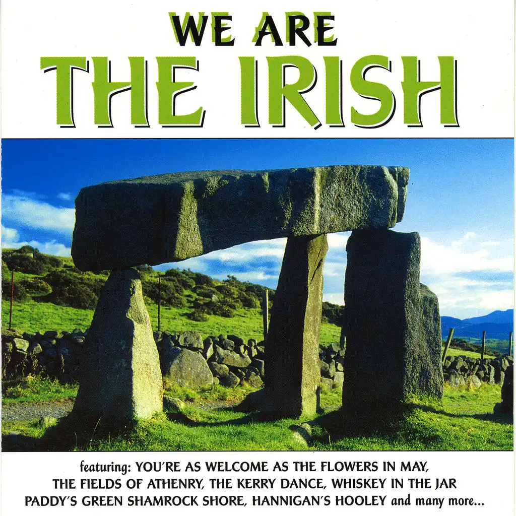 We Are The Irish