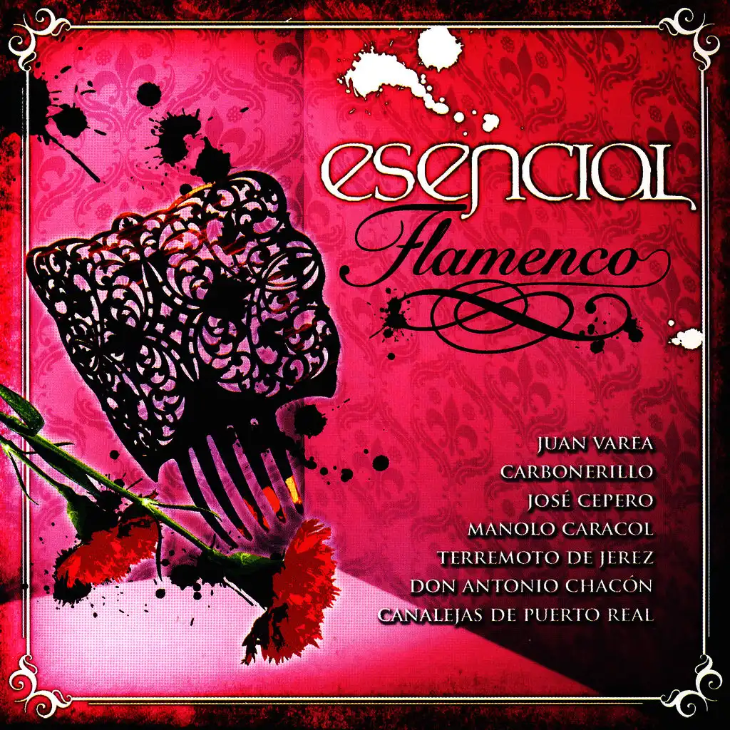Esencial Flamenco Vol. 13