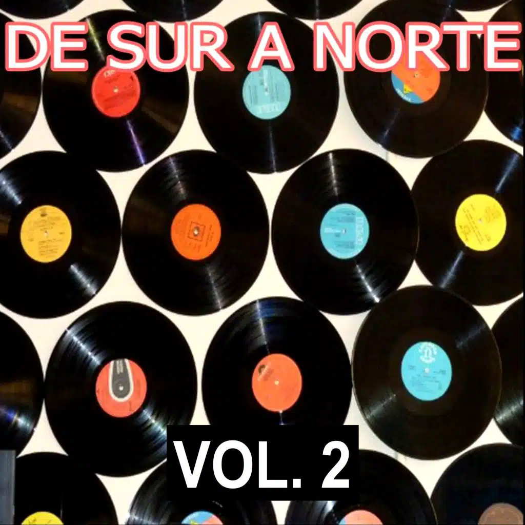 De Sur a Norte, Vol. 2
