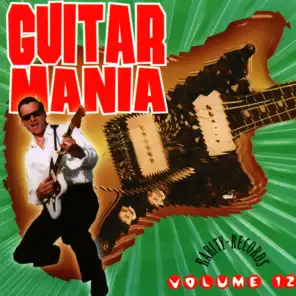 Guitar Mania 12