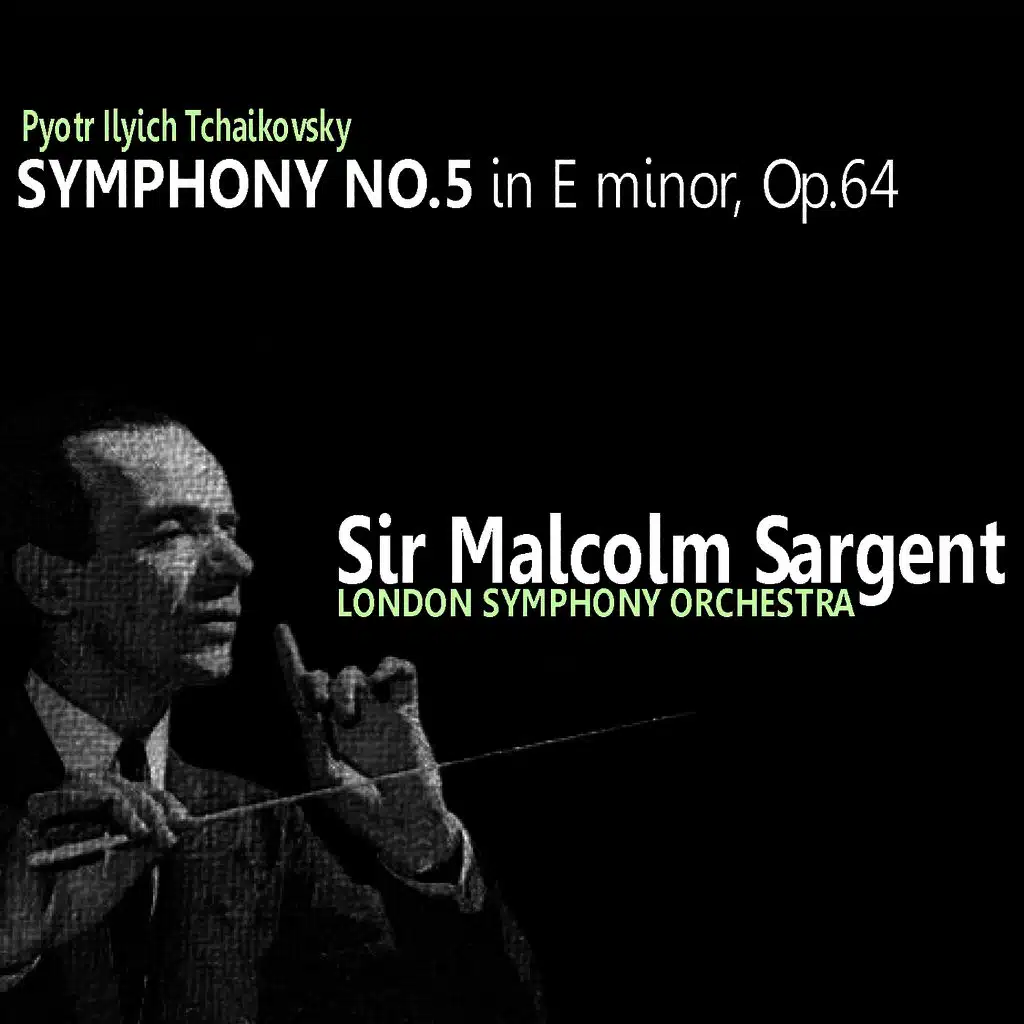 Tchaikovsky: Symphony No. 5 in E Minor