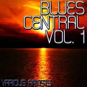 Blues Central, Vol. 1