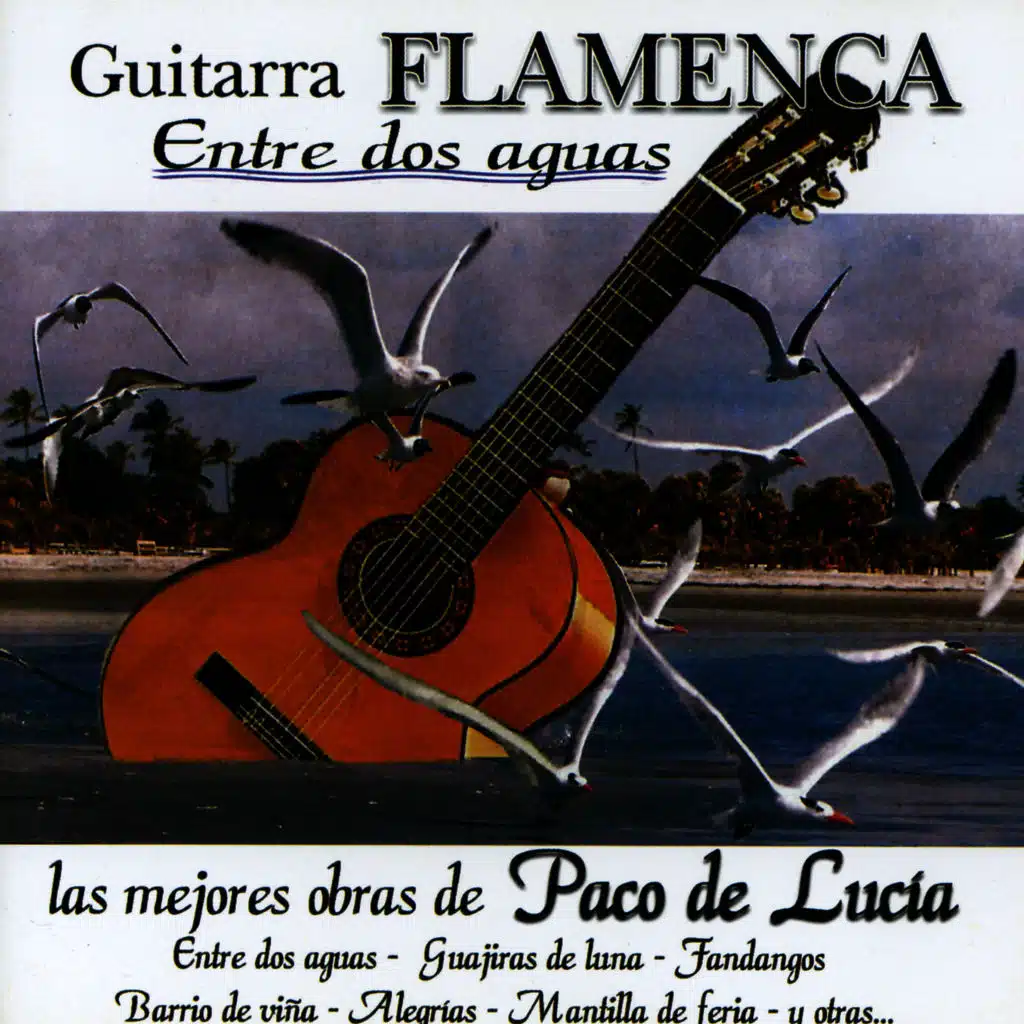 Guitarra Flamenca