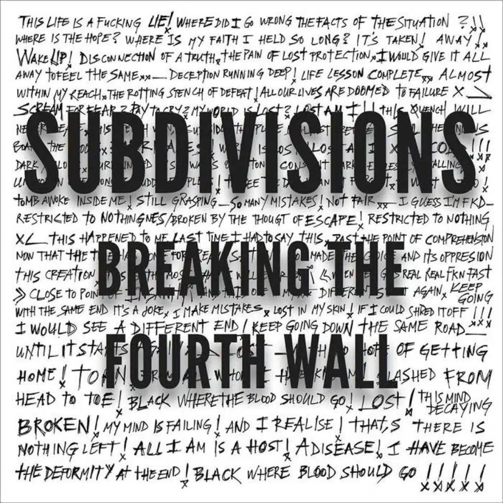 Breaking the Fourth Wall