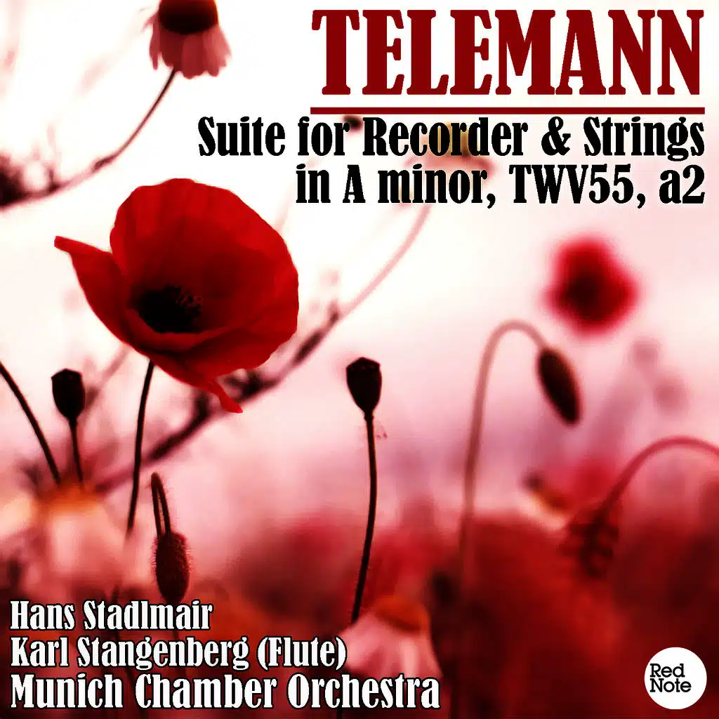 Telemann: Suite for Recorder & Strings in A minor, TWV55, a2