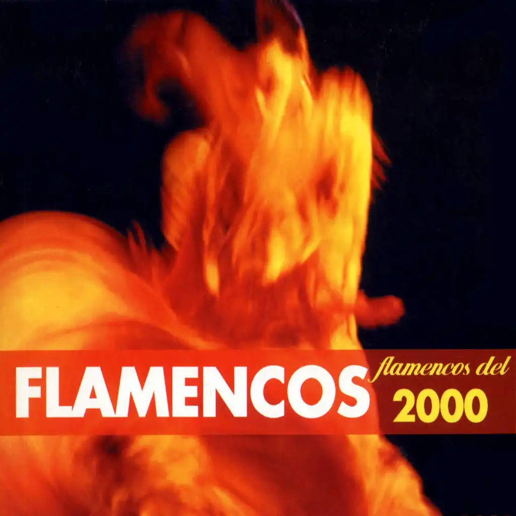 Flamencos del 2000