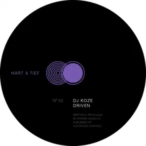 DJ Koze / Robag Wruhme